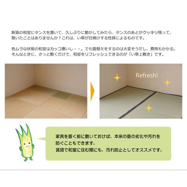 (タイムセール中) い草ラグ おしゃれ 六一間4.5畳 約277×277cm 国産