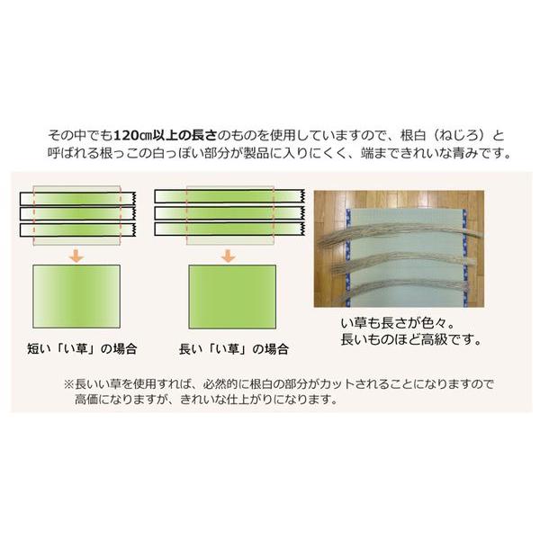 (タイムセール中) い草ラグ おしゃれ 六一間4.5畳 約277×277cm 国産