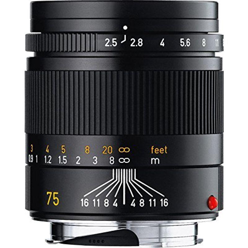 お見舞い Leica ショート望遠レンズ 超コンパクト (E46) f/2.5 75mm SUMMARIT-M 交換レンズ
