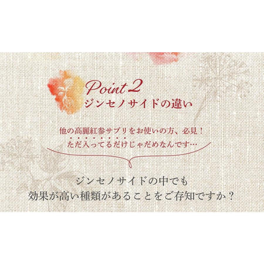 紅参茶 2ケース だひまる megu1911_lp03.jpg