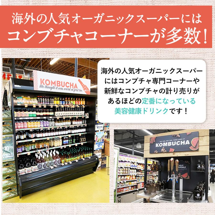 コンブチャ3箱（45包）5種類から選べる 送料無料 1箱5g×15包入 チョイスコンブチャ Kombucha レモン・桃・梅・グレープフルーツ・ブルーベリー｜happyfamilylife｜09