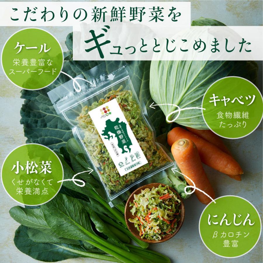 乾燥野菜100g 九州産野菜100% 4種類 野菜ミックス ドライベジ 無添加