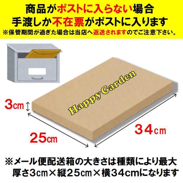 SEXWAX（セックスワックス） 3個セット クイックハンプス サーフィン