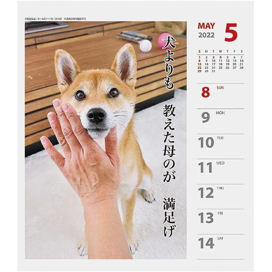 犬 卓上カレンダーの商品一覧 通販 - Yahoo!ショッピング