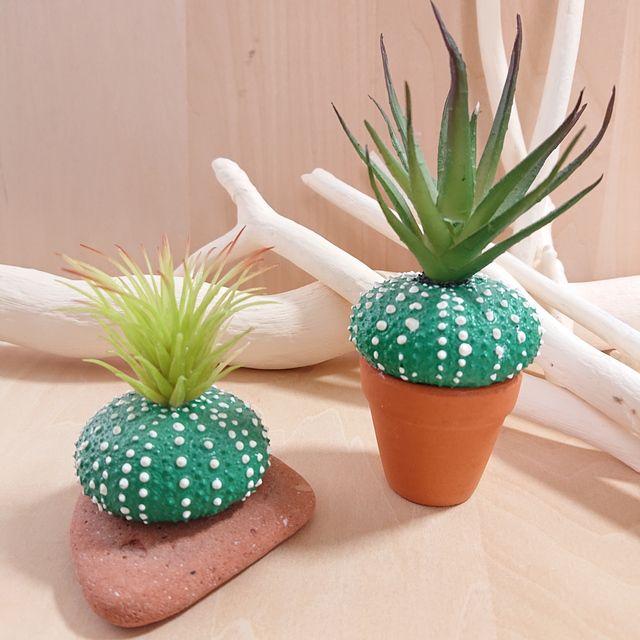 インテリア ウニボテン フェイクグリーン 人工観葉植物 サボテン 盆栽 ２個セット ハッピーグッツショップ 通販 Paypayモール