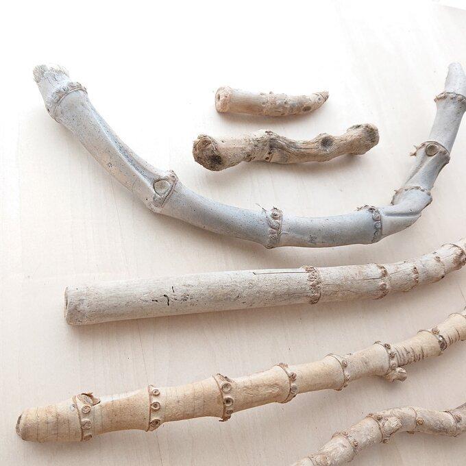 水槽用流木 自然な形状 約30cm〜50cm 【公式通販】