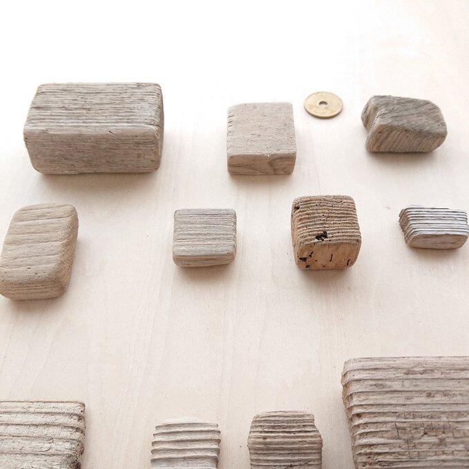 市場 水草 流木ｓサイズ 巻きたて 草たちの水景