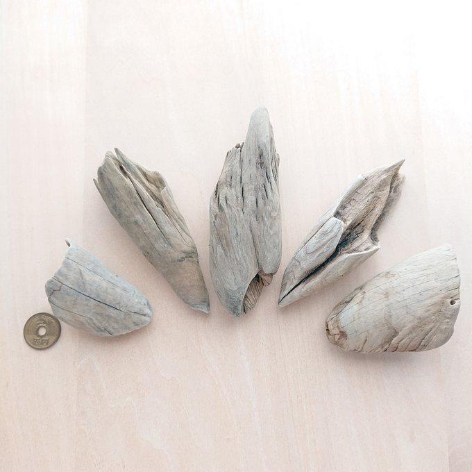 流木 約6cm〜約12.5cm 211014d : ハッピーグッツショップ - 通販