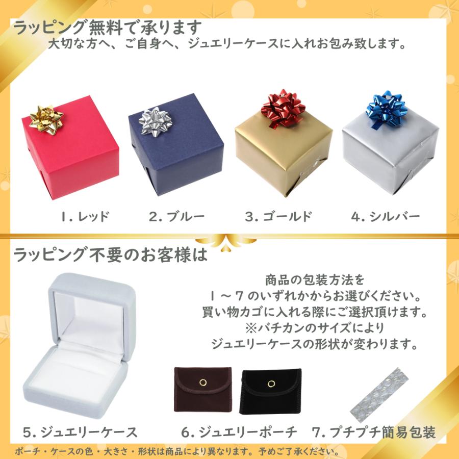 PTペンダント 純プラチナウィーンハーモニー 純プラチナ ウィーンハーモニー 1/25oz ペンダントトップ コイン