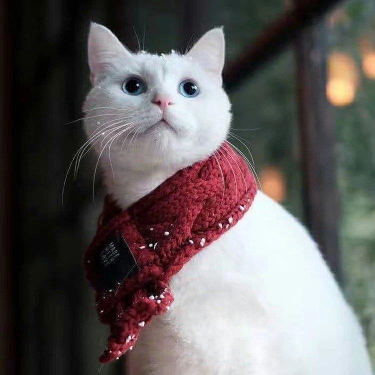 超激安 猫 ペット服 可愛い 服 お中元 犬服 ネックウォーマー 冬物 ストール 冬 猫用 あったか ドッグウェア 犬用 犬の服 犬 動物 マフラー 即日出荷 Turningheadskennel Com