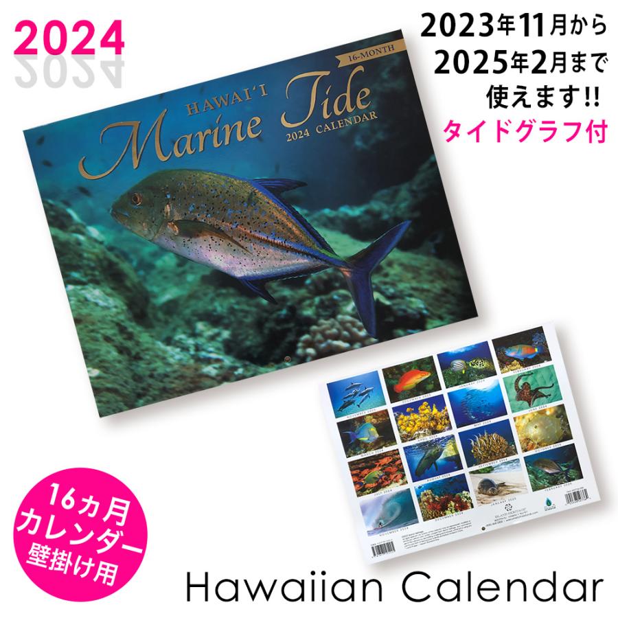 2024年カレンダー【01 Hawai'i Marine Tide ハワイ マリン タイド】ハワイアンカレンダー インテリア雑貨 ハワイの美しい景色 壁掛け用 カレンダー ハワイ直輸入