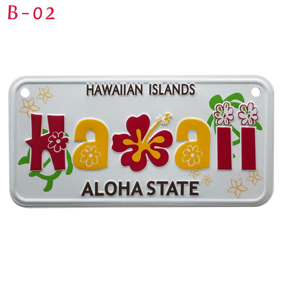 コレクター向け ハワイ 仮ナンバー ナンバープレート 本物 Hawaii 激レア コレクター向け ハワイ 仮ナンバー ナンバープレート 本物