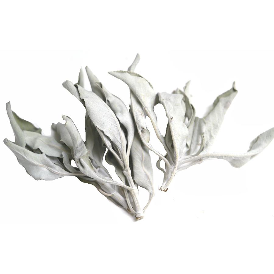 セイクリッド ホワイトセージ クラスターグラム 乾燥剤入り 無農薬 g 浄化用アメリカより直輸入だからこの価格 天然ホワイトセージ スマッジング Whitesage Clusterg Happyhour 通販 Yahoo ショッピング