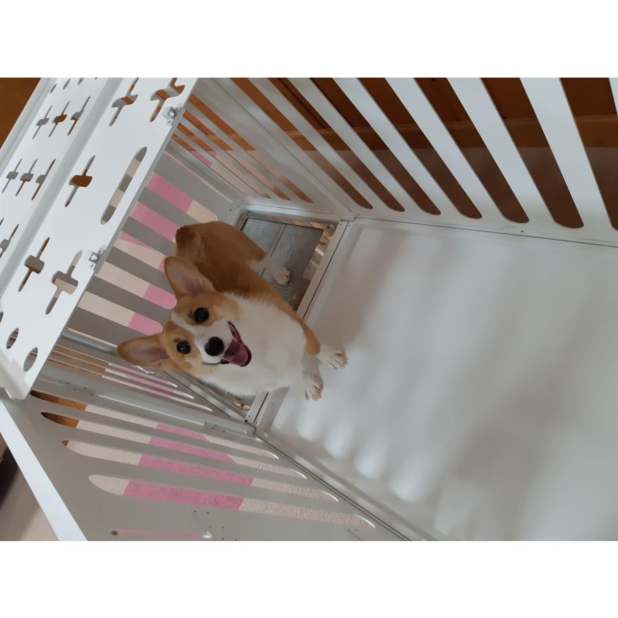 happyinuself（ハッピーイヌセルフ） プレミアム ペットサークル