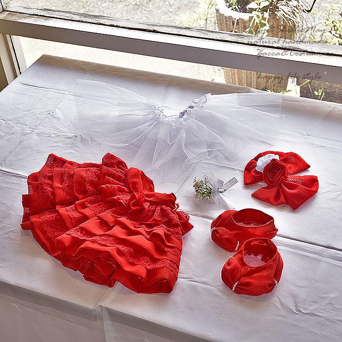 Disney ダッフィーシェリーメイ ウェディング ペア Sサイズ 赤ドレス