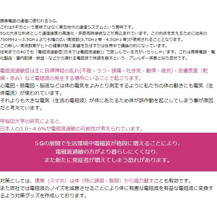 NEW 電磁波ブロッカー MAXmini5G×2枚セット 携帯・スマホ・パソコンの