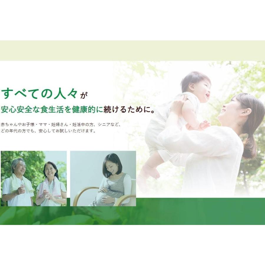 【送料無料】サン・クロレラＡ　３００粒 ×２箱セット！【メーカー正規品】 野菜不足の方に栄養バランスを整える人気のサプリメント♪ サンクロレラ 天然由来の画像