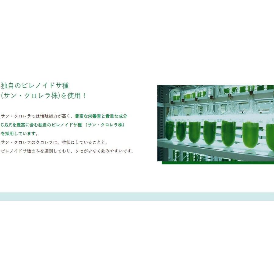 【送料無料】サン・クロレラＡ　３００粒 ×２箱セット！【メーカー正規品】 野菜不足の方に栄養バランスを整える人気のサプリメント♪ サンクロレラ 天然由来の画像