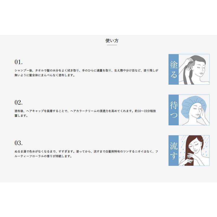 送料無料】NEW ふんわり仕上がる ヘアカラークリーム 200g×3本セット