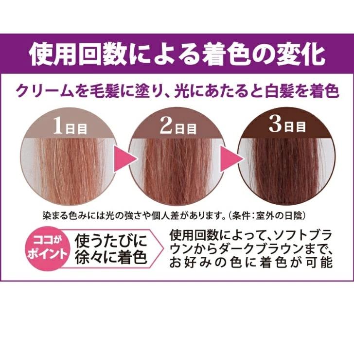 【送料無料】ルミナマジックＳＲ 40g【メーカー正規品】光にあたるだけで白髪が染まるヘアクリーム！手軽で便利なヘアカラー♪ 白髪染め 毛染め 白髪かくし｜happylife-shop2｜03