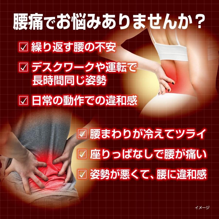 【送料無料】血流改善 腰ホットン 16時間 20枚入【一般医療機器】つらい腰痛・神経痛に48℃の医療温熱で痛み改善♪ 腰ほっとん 医療機器 血流改善 腰痛 腰の痛み｜happylife-shop2｜02