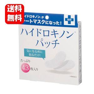 【送料無料】旭研 ハイドロキノンパッチ 43枚入 【正規品】気になる所に貼るだけ簡単♪ ハイドロキノン パッチ シート 旭研 ハイドロキノンパッチ 旭研 マスク（Yahoo!・ハッピーライフ通販 ヤフー店）