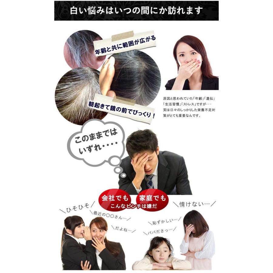 送料無料】白髪隠しスティック 4g×6本セット サッとひと塗り簡単白髪