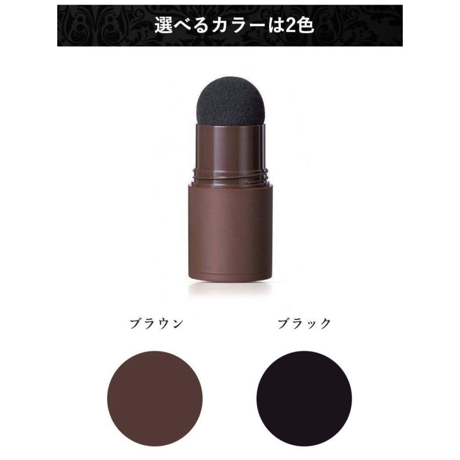 送料無料】白髪隠しスティック 4g×6本セット サッとひと塗り簡単白髪