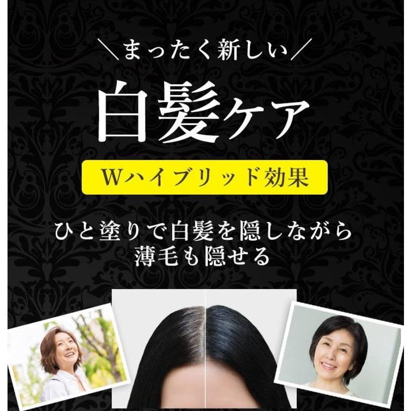 送料無料】白髪隠しスティック 4g×6本セット サッとひと塗り簡単白髪
