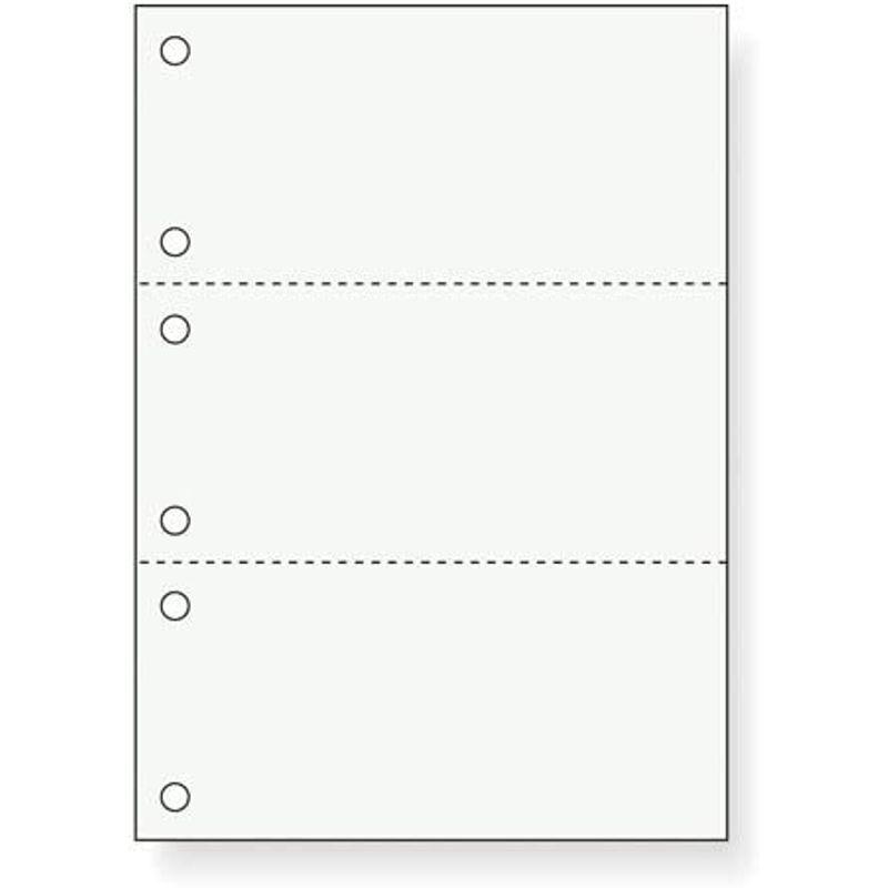 ナカバヤシ　プリンタ帳票用紙　カット帳票　A4　無地　3面　6穴　1000枚　BMP-E03H