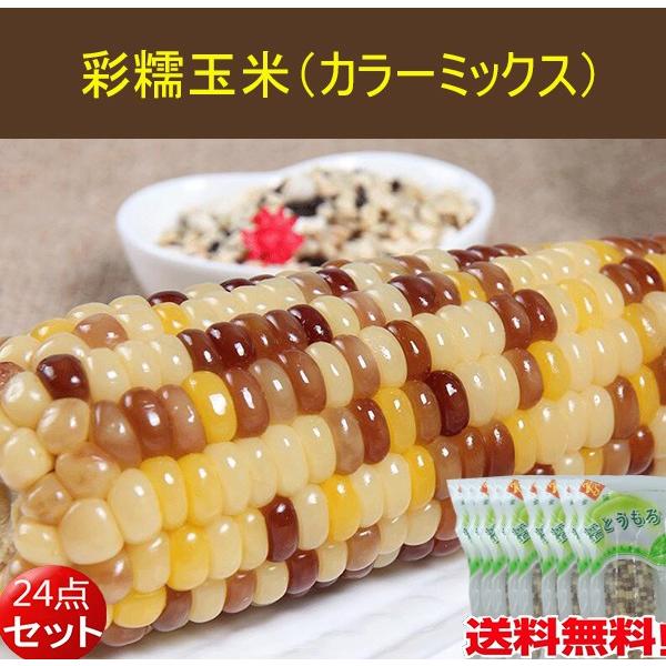 彩糯玉米 1本入 250g 24点セット とうもろこし 真空パック調理済み 温めるだけ 中国産 送料無料 北海道 沖縄除く Www Workplace No