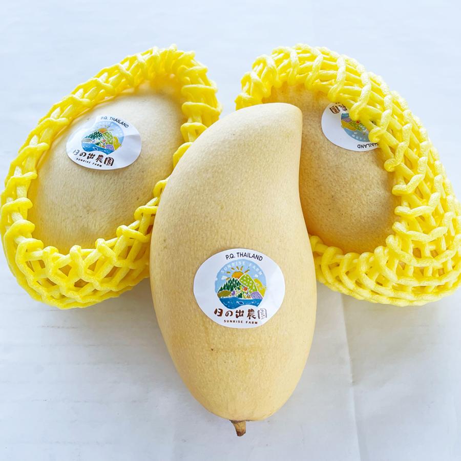 2箱セット販売 タイ黄色マンゴー 12-15入/約5kg 【公式通販】