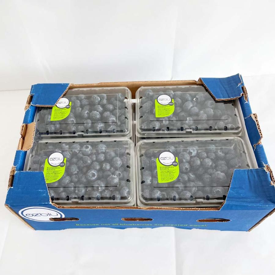 ブルーベリー 藍莓 1パック blueberry 約310g前後フルーツ 新鮮果物