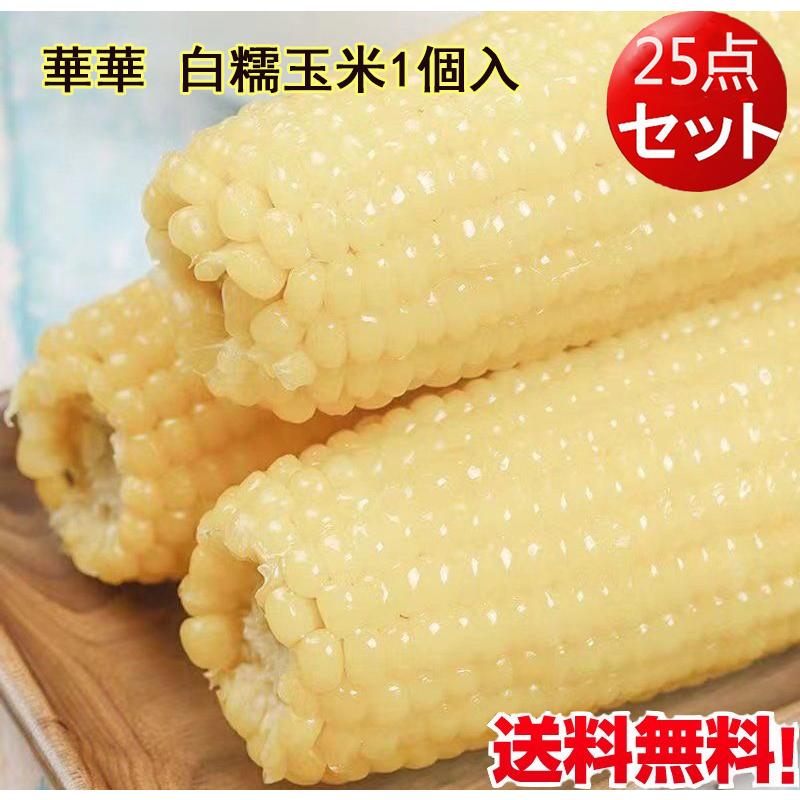 モチとうもろこし 華華糯玉米1個入 25点セット 軸付き 白、黄、黒糯