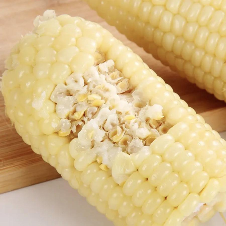 モチとうもろこし 華華糯玉米 軸付き 1個入 白糯玉米、黄糯玉米、黒糯