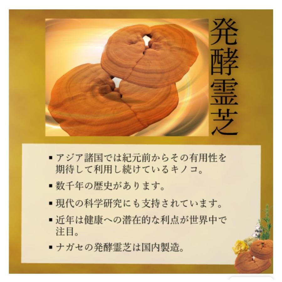 ナガセ BM  & ベルマッシュ 各6個　合計12個 ナガセ BM & ベルマッシュ 各6個 合計12個 ナガセ BM & ベルマッシュ