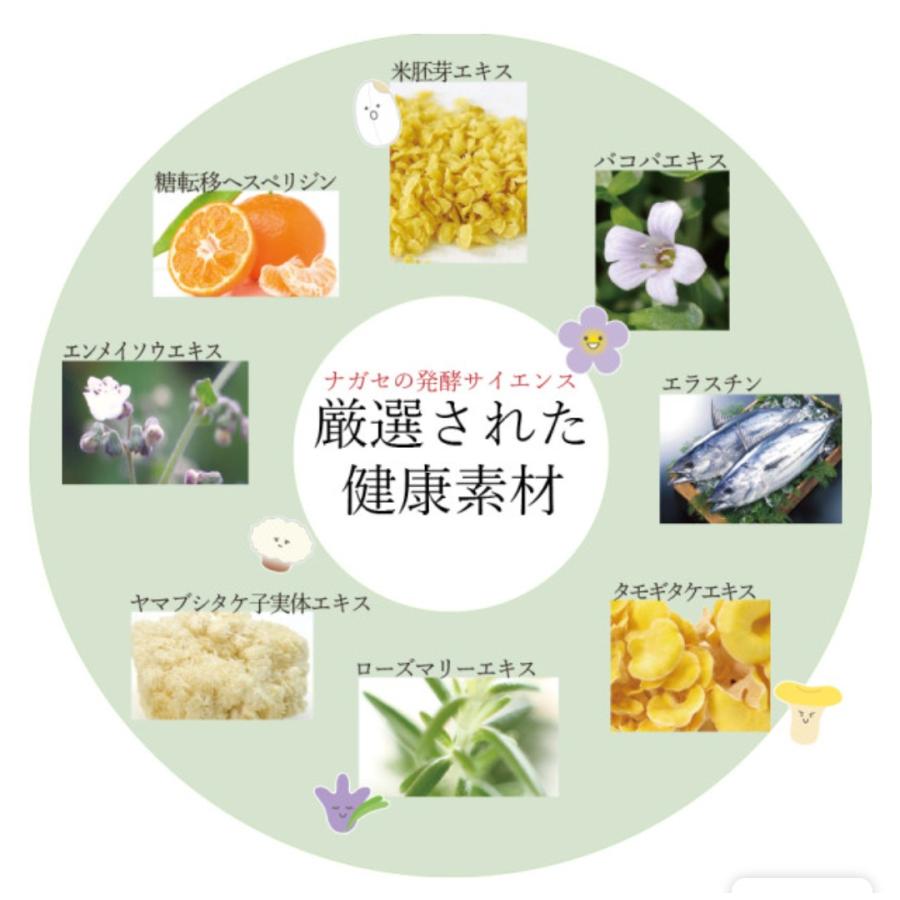 ナガセ BM  & ベルマッシュ 各6個　合計12個 ナガセ BM ROYAL & ベルマッシュ 各6個合計12個