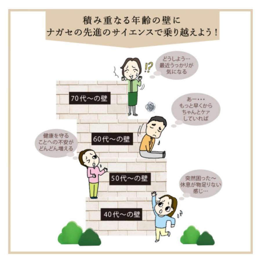 ナガセ 健康食品 ベルマッシュ 顆粒 6箱セット（1.41g×30包×6箱