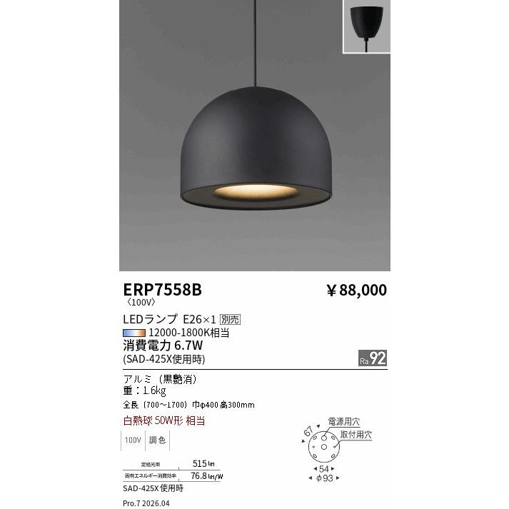 遠藤照明 ERP7558B ENDO 【メーカー直送】 ドーム型ペンダントライト