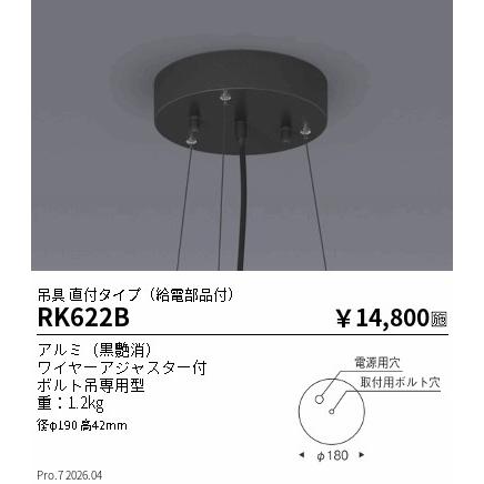【遠藤照明】 ERS4806BBブラック スポットライト 2個セット 照明器具 遠藤照明 RK622B ENDO 【メーカー直送】 オプション吊具＿黒艶消