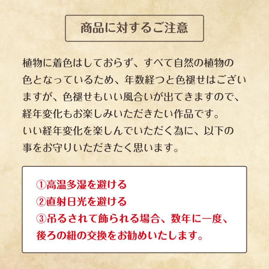 ドライフラワー インテリア プッシュドプランツ アトランティス F6サイズ 墨ペイント 送料無料 押し花アート キャンバス 花 下田恵子の画像