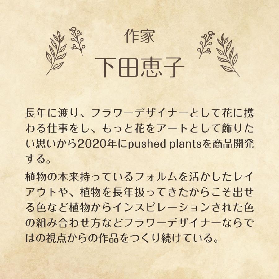 ドライフラワー インテリア プッシュドプランツ へデラ F3サイズ ペイント 送料無料 押し花アート キャンバス 植物 下田恵子の画像