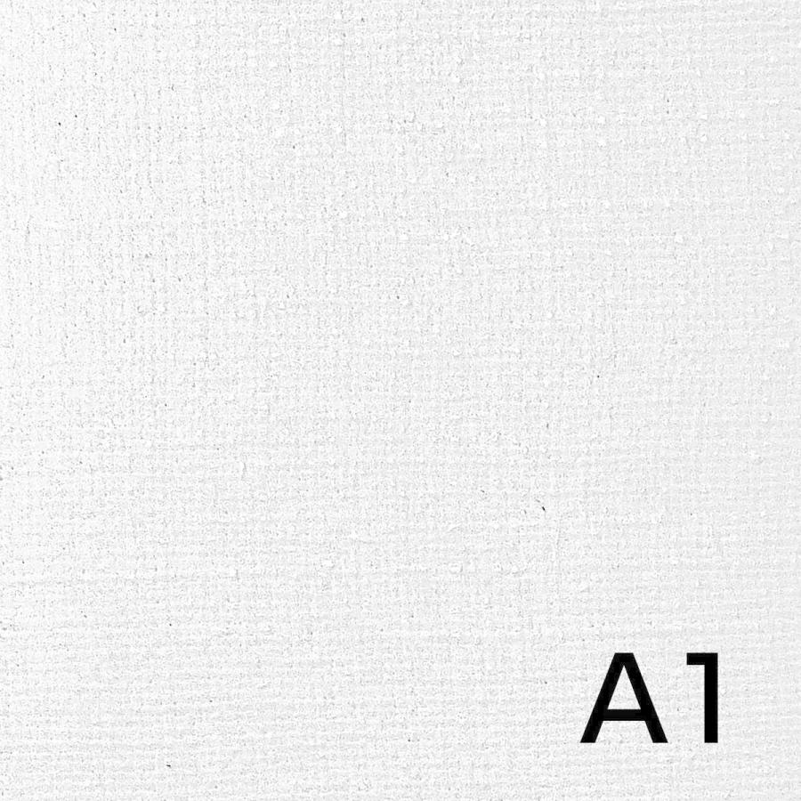 全商品オープニング価格特別価格 Vic Art ヴィックアート張りキャンバス A1 麻100 F号 5枚組 油彩 アクリル兼用 中目 国内加工品 数量は多 Www Perfectharmony Co Th