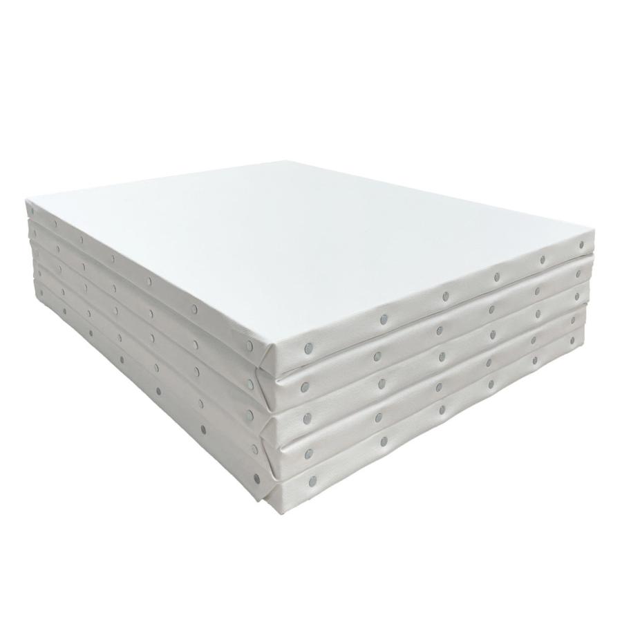 Vic art ヴィックアート張りキャンバス TC 綿合成繊維混 F20号×5枚