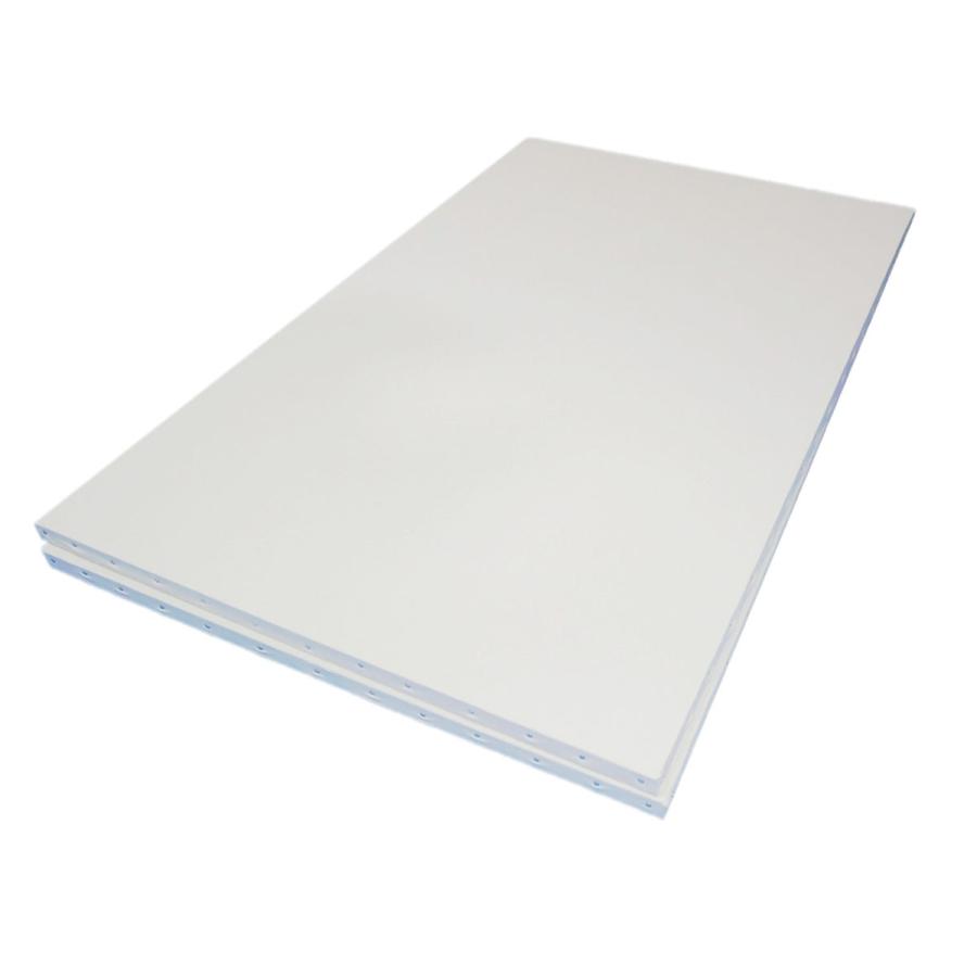 Vic art ヴィックアート張りキャンバス AD 麻100％ P50号×2枚組 (油彩・アクリル兼用、中目厚口) 国内加工品