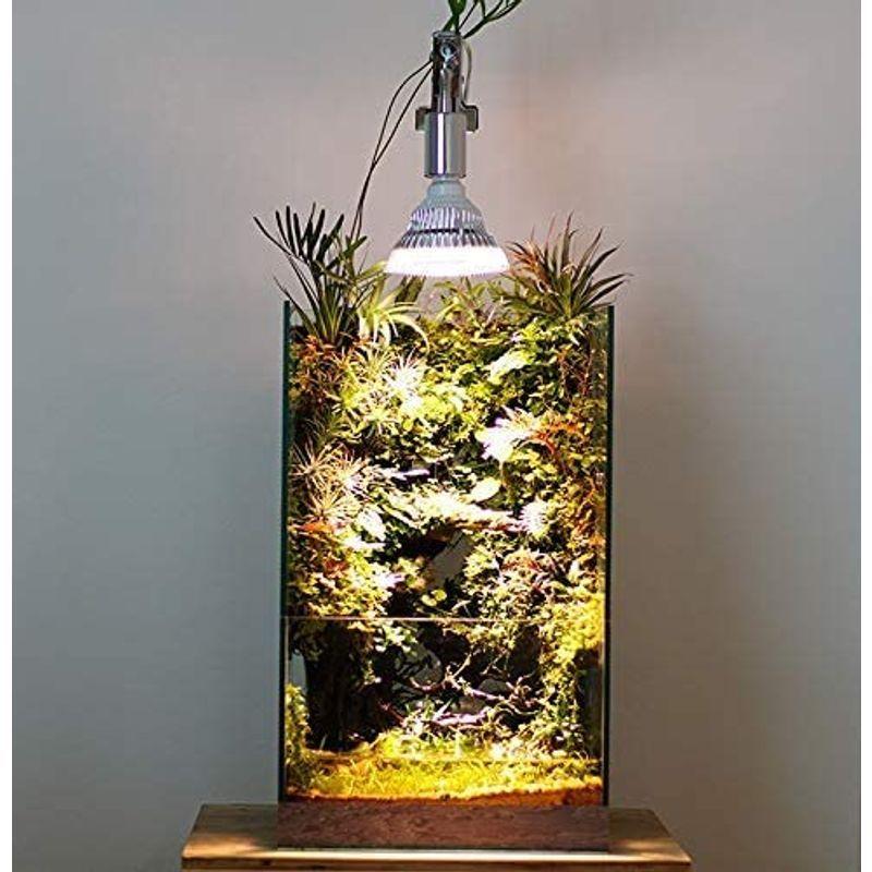 超爆安売れ筋no 1 Led Plantlight 18w 植物育成使用 白色電球 E26 観葉植物 水耕栽培 家庭菜園 水草栽培 ハッピーマートさくら 正規 店 偽物 Smiledesignorthoms Com