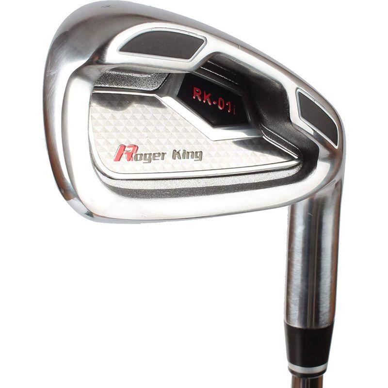 広田ゴルフ ロジャーキング アイアンセット RK-01i 6本 #6-9，Pw，Sw スチールシャフト RK 01i ロジャーキング #6 9，Pw，Sw 広田ゴルフ アイアンセット 6本 スチールシャフト 　