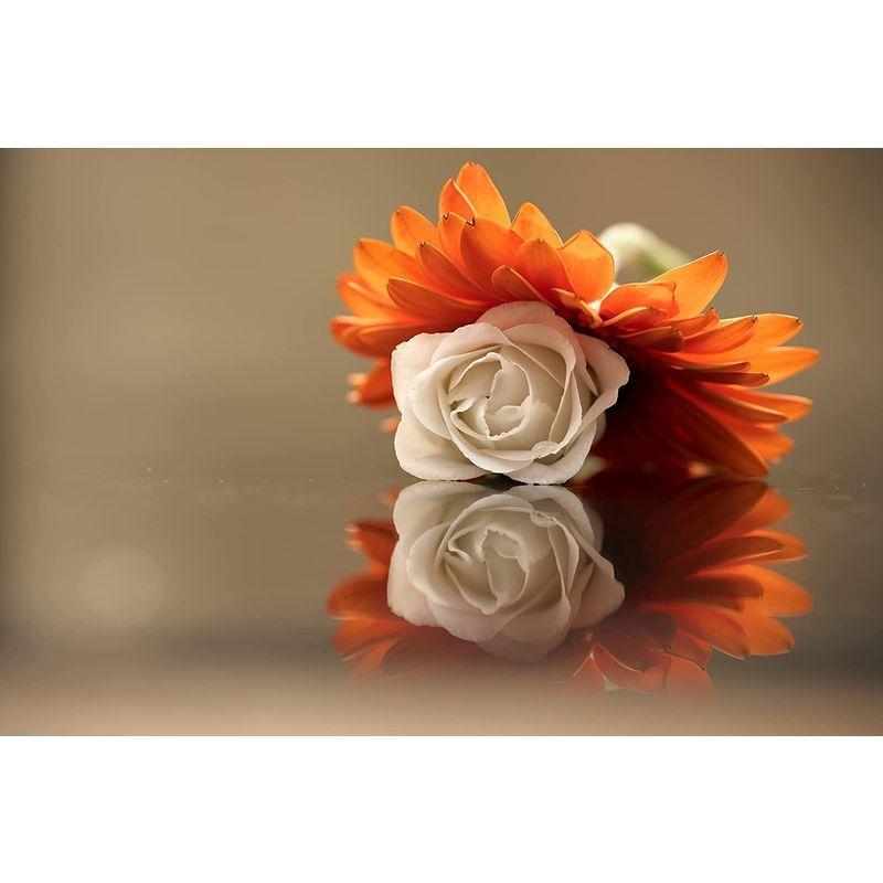 Nikon 単焦点マクロレンズ NIKKOR Z MC 105mm f/2.8 VR S Zマウント フルサイズ対応 Sライン NZMC10     商品情報    【商品名】　Nikon 単焦点マクロレンズ NIKKOR Z MC 105mm f/2.8 VR S Zマウント フルサイズ対応 Sライン NZMC10 【商品説