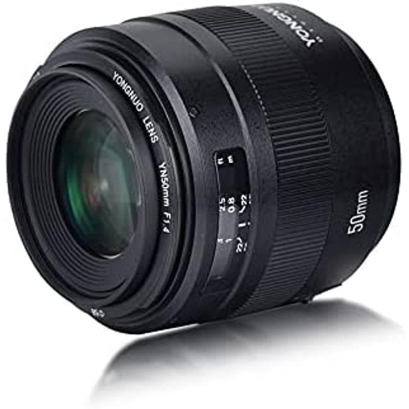 YONGNUO YN50mm F1.4 C キャノンEFマウント 標準レンズ 単焦点レンズ RP/R5/R/1500D/80D/5DIV/5 YN50mm F1 キャノンEFマウント 標準レンズ 単焦点レンズ RP/R5/R/1500D/80D/5DIV/5