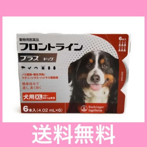 Ｃ【メール便・送料無料】犬用　フロントラインプラス　XL（40〜60ｋｇ未満）　６本※期限2025.4　なくなり次第終売｜happymd